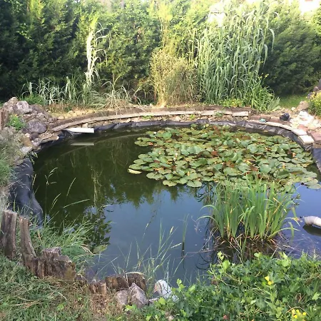 Fonix Apartman * קסזטלי