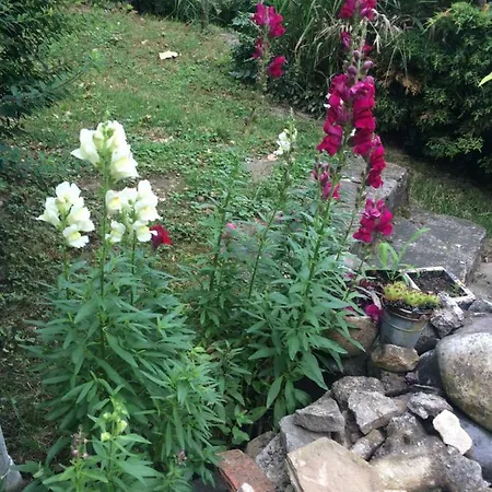 דירה Fonix Apartman *