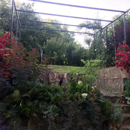 Fonix Apartman דירה קסזטלי